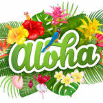 Bild: Liebe Aloha Hawaii